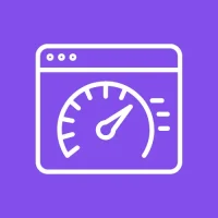 wordpress Website Optimization & Performance​, core web vitals